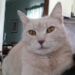 Meet your Posher, Toni